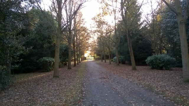 WP_20151112_14_20_33_Pro