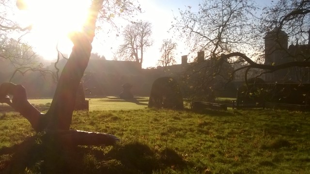 WP_20151126_13_41_03_Pro