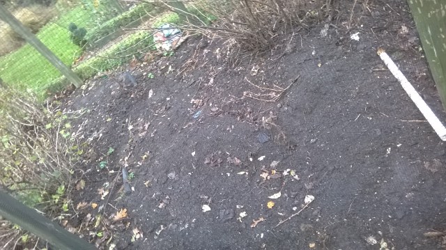 Awaiitng a Redcurrant, to go alongside White and Black!