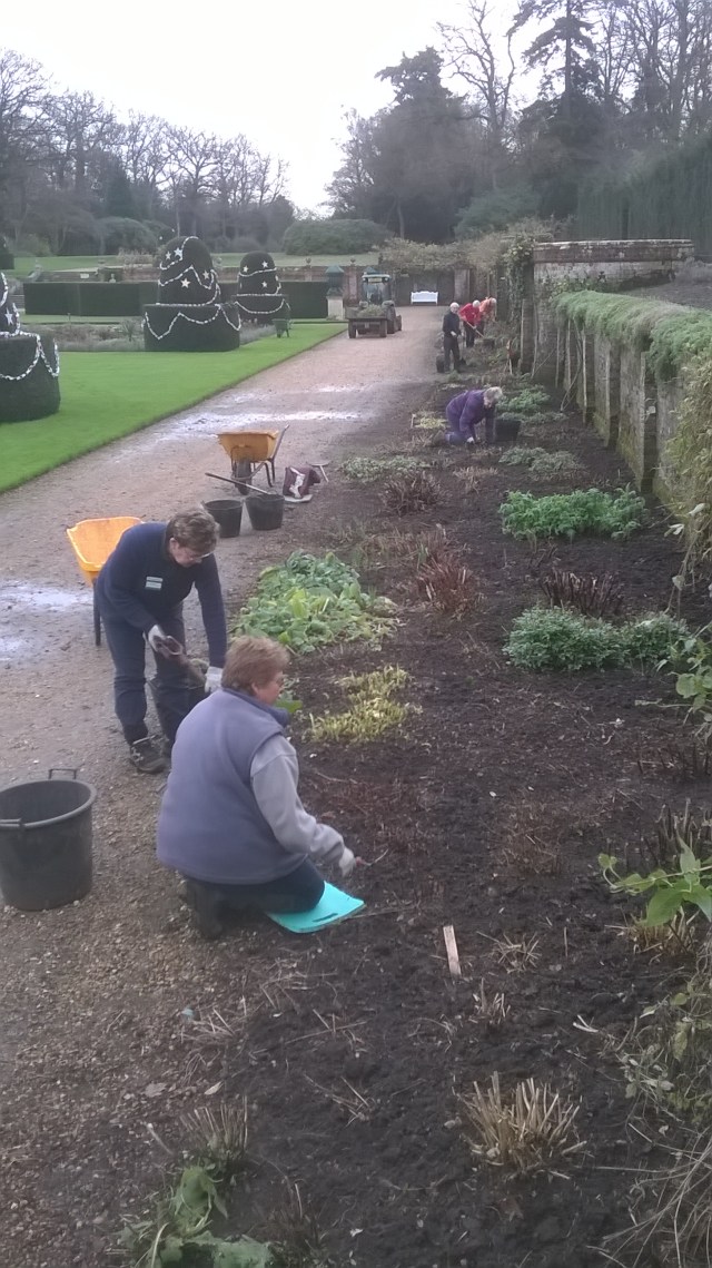 Digging over the parterre border