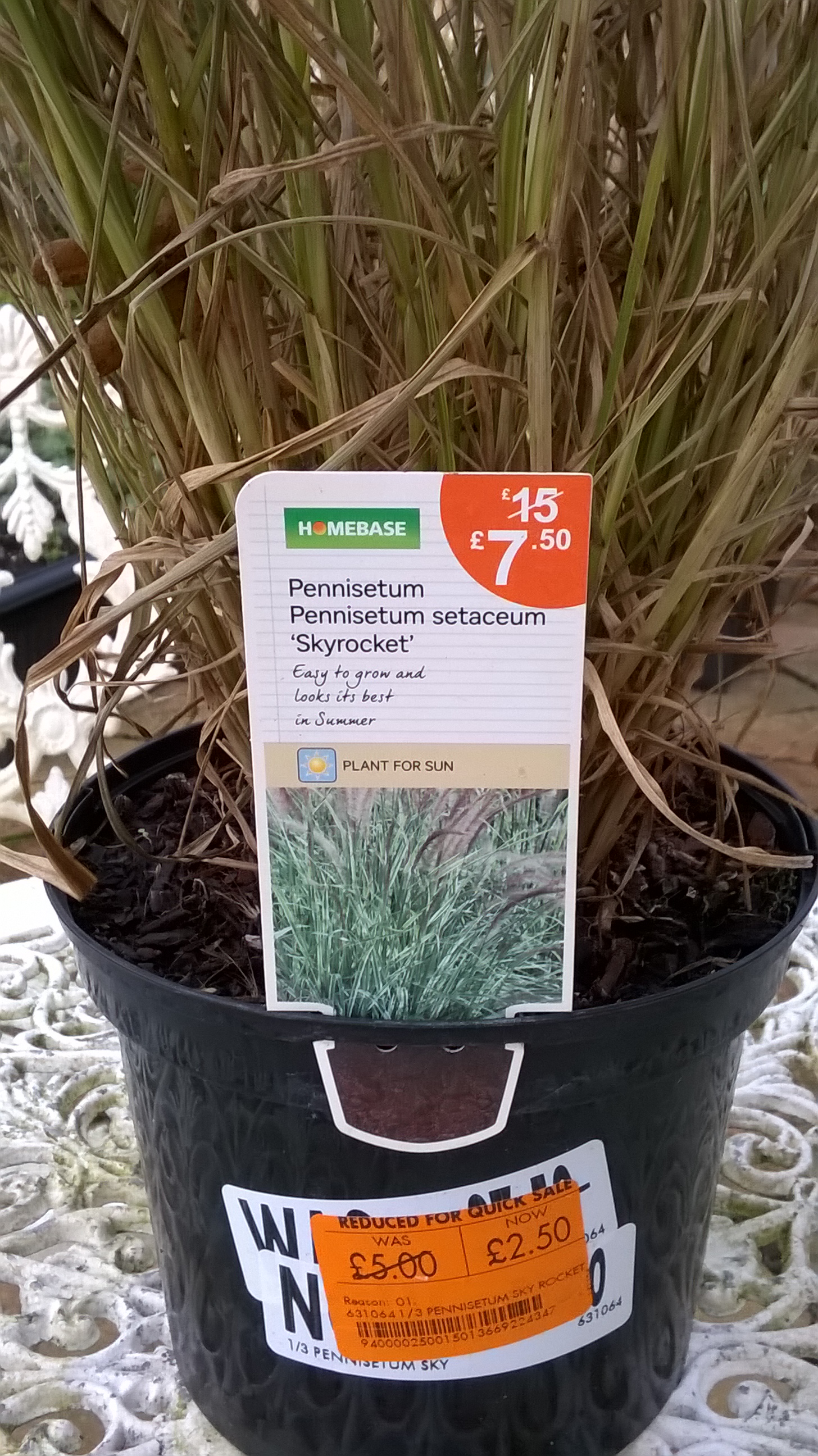 A plant bargain
