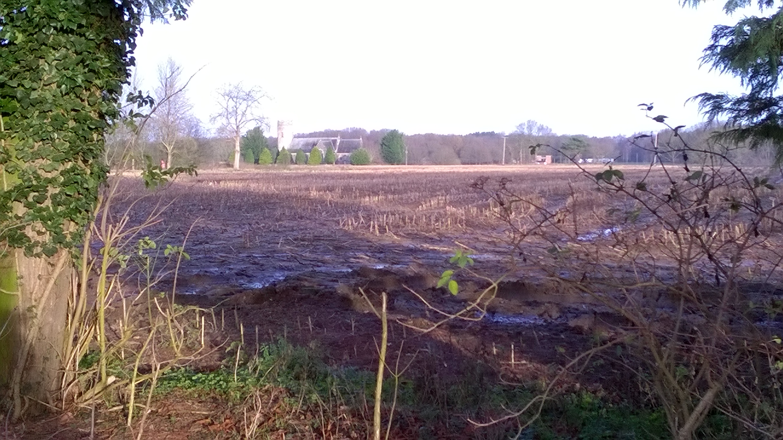 New possibilities- the view across fields to the church is crying out for a bit of organisation, including a new bench.