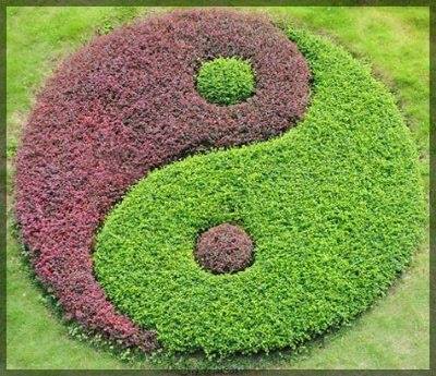 yin yang
