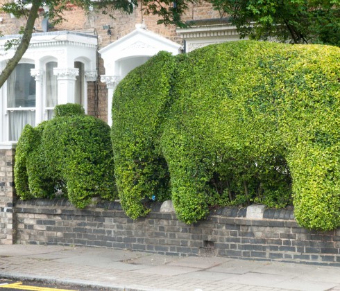 Baby and big elephant2