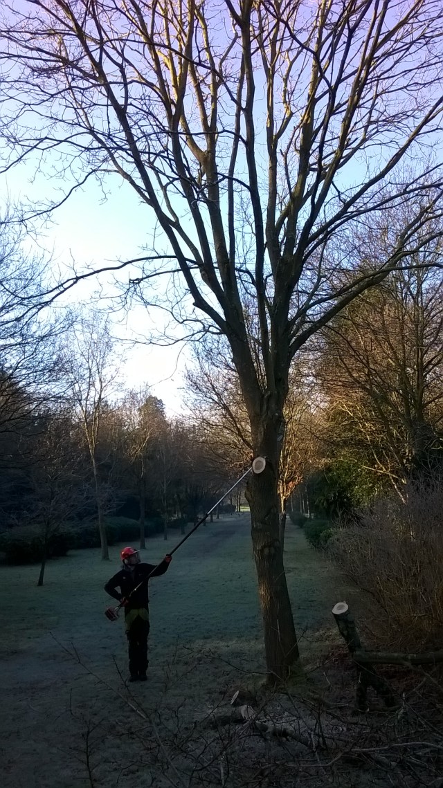 WP_20160121_10_54_13_Pro