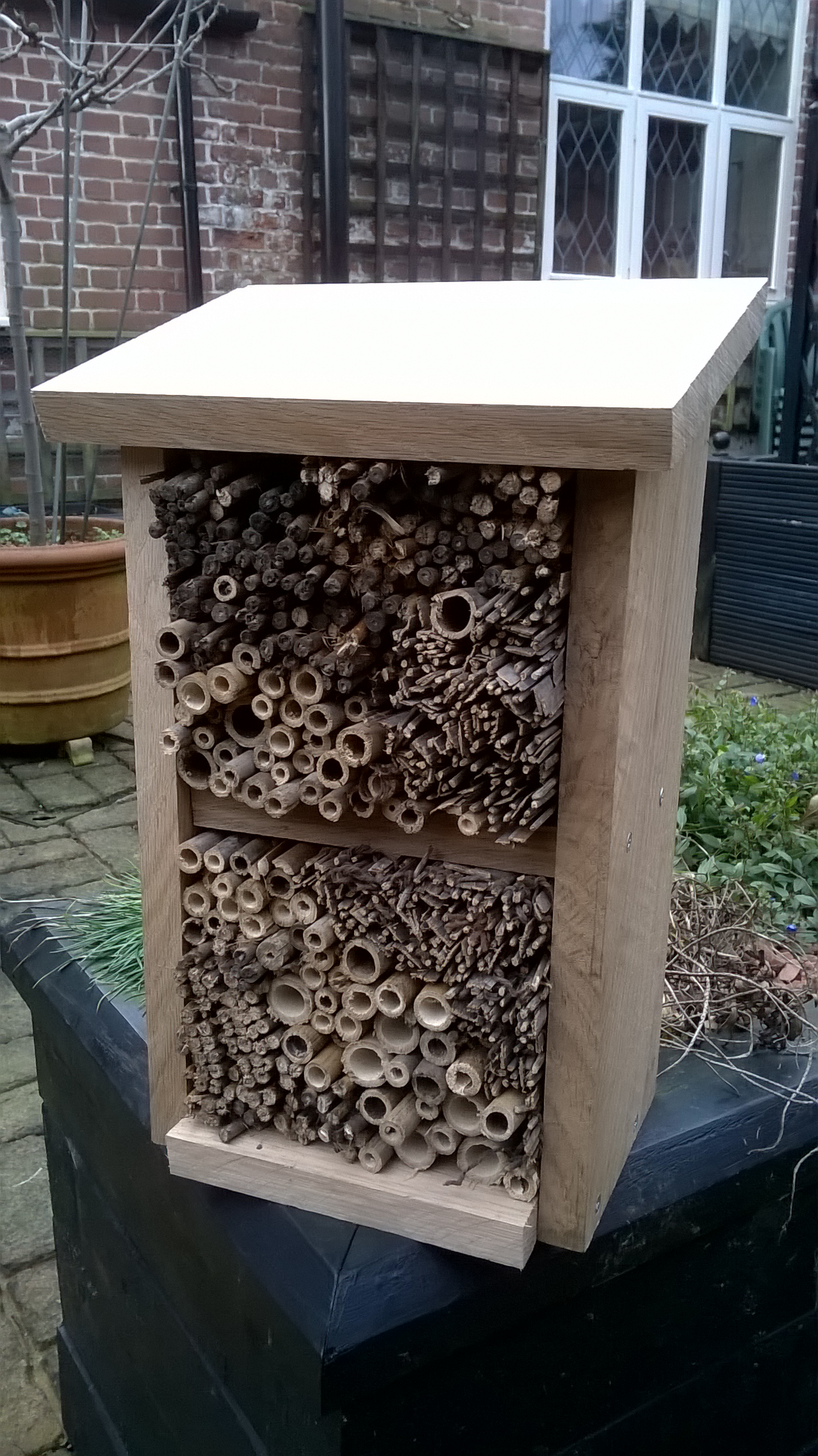 One Bug Hotel!