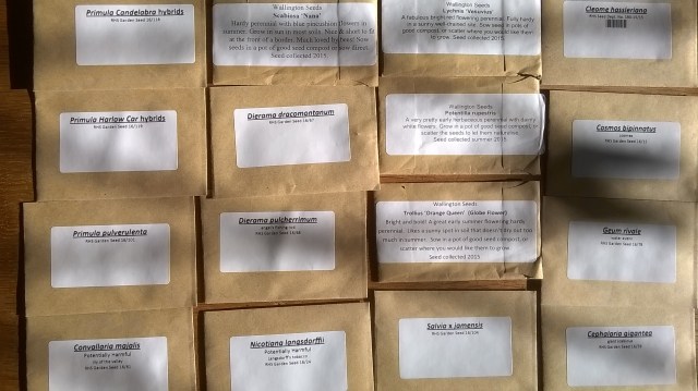 WP_20160130_13_10_48_Pro