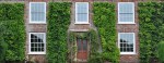 Ivy-House-980×380