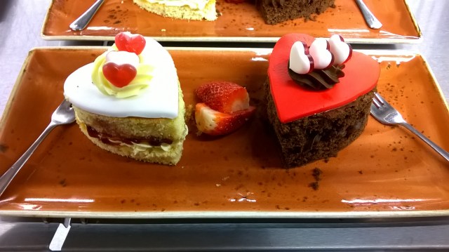 WP_20160214_15_32_46_Pro