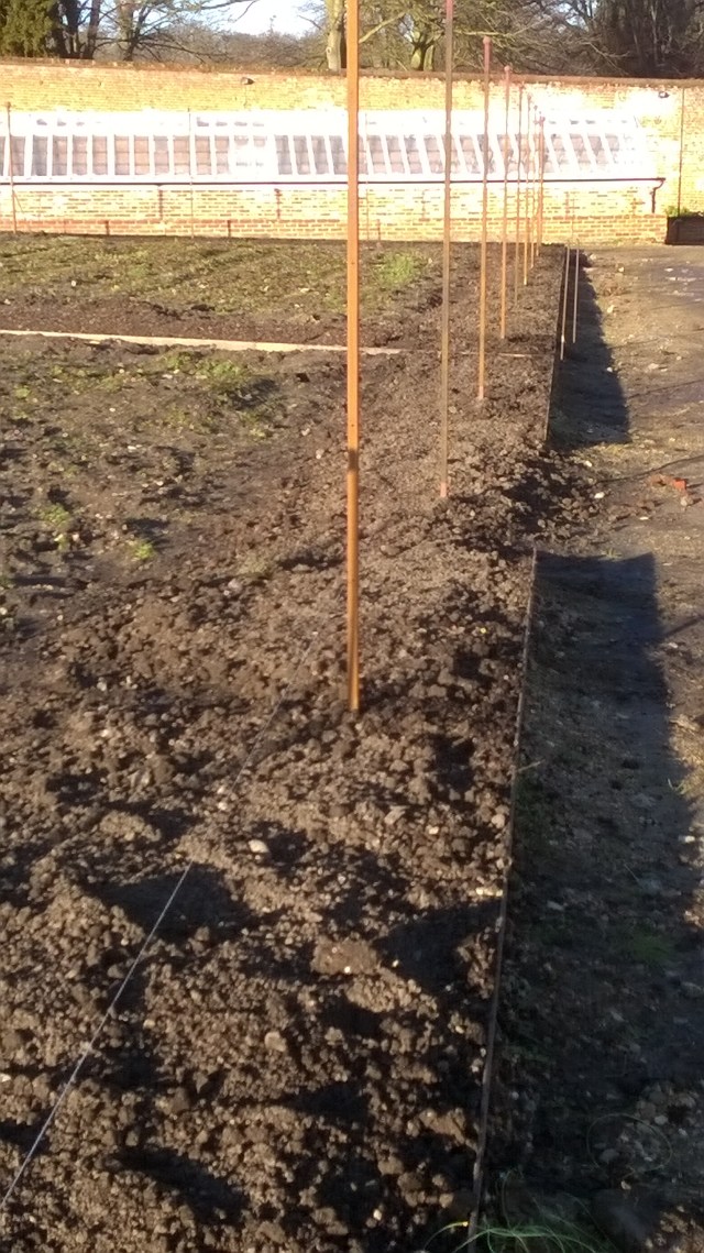 Not much evidence of our hard wrok, but these stretches of soil are now ready to be planted up with fruit trees