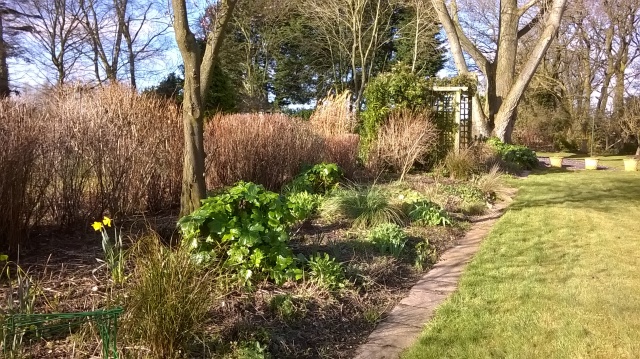 Borders cleared and ready for weeding and soil tickling...
