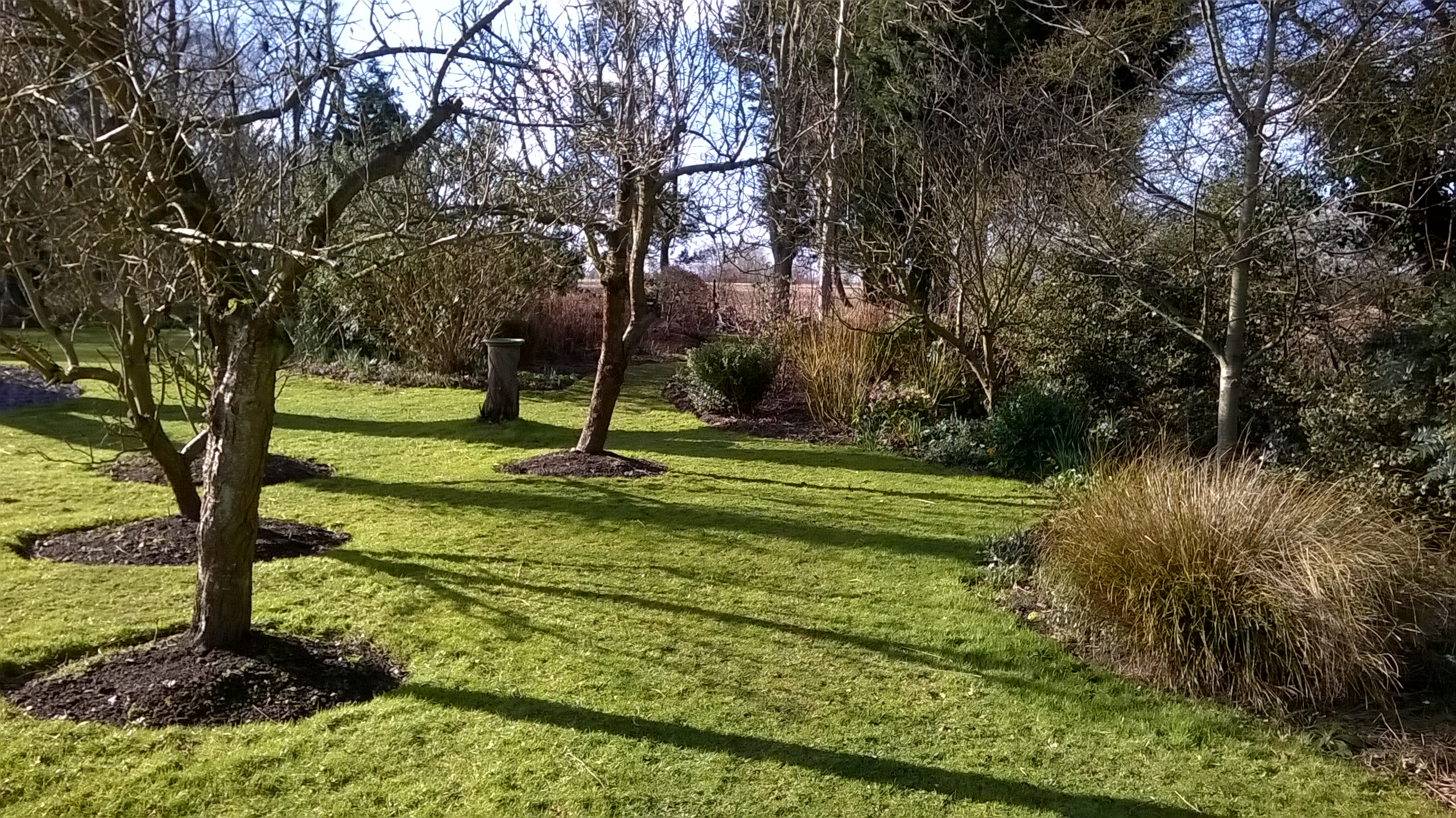 WP_20160222_14_13_35_Pro