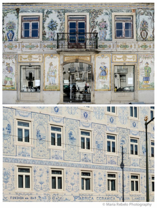 Composit Viuva Lamego