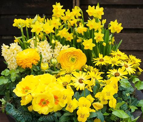 Picture: Derk de Witt