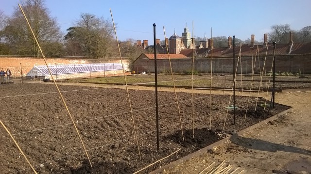 WP_20160310_12_56_22_Pro