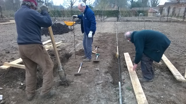 The final stretch of oak edging to the grass paths in the Walled Garden