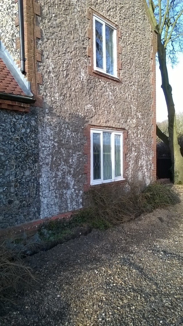 The front border is being dug out to remove ivy roots and a couple of old Cotoneaster plants- these will be relocated to the new pond garden