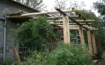 trellis-for-climbing-plants