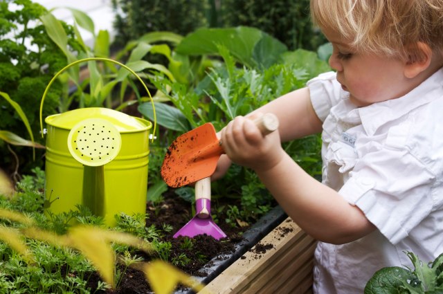 toddler-gardening