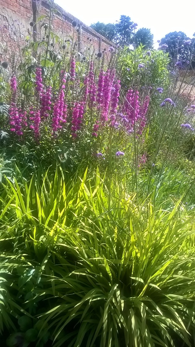 WP_20160714_15_36_50_Pro