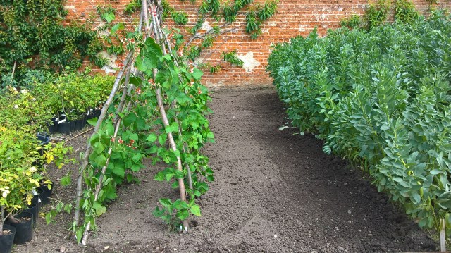 WP_20160721_11_55_22_Pro