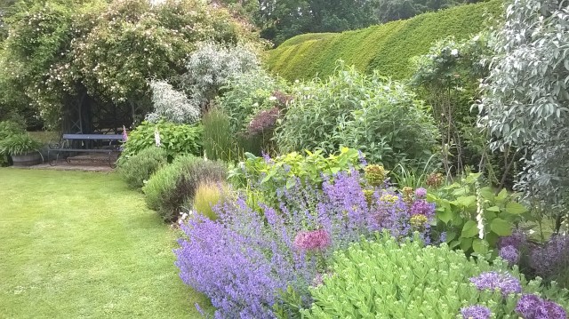 WP_20160619_15_40_15_Pro