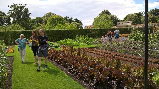 WP_20160804_13_44_23_Pro