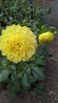 WP_20160804_14_10_38_Pro