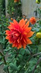 WP_20160804_14_10_53_Pro