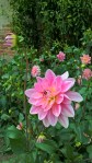 WP_20160804_14_11_26_Pro