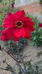 WP_20160804_14_11_52_Pro