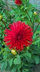 WP_20160804_14_12_11_Pro