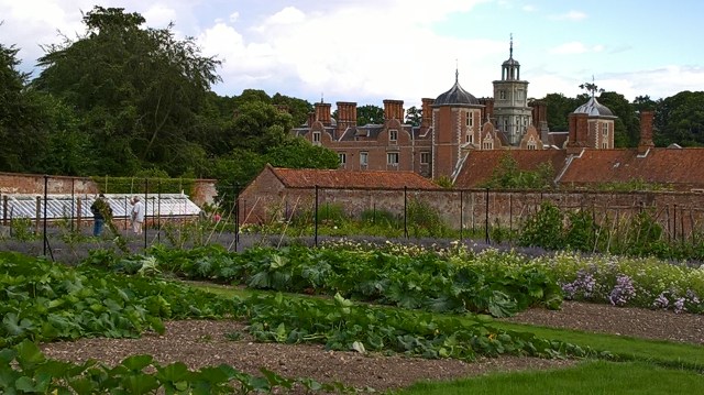 WP_20160804_14_13_43_Pro