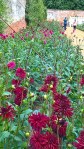 WP_20160804_14_14_02_Pro