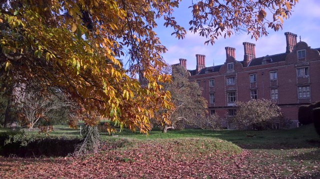 wp_20161116_11_36_20_pro