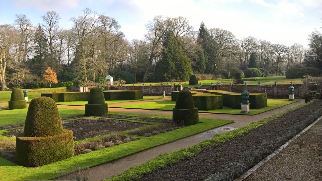 wp_20170202_11_40_17_pro