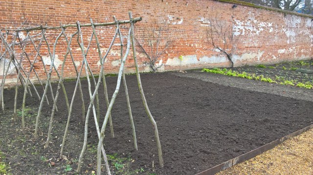 wp_20170209_12_47_51_pro