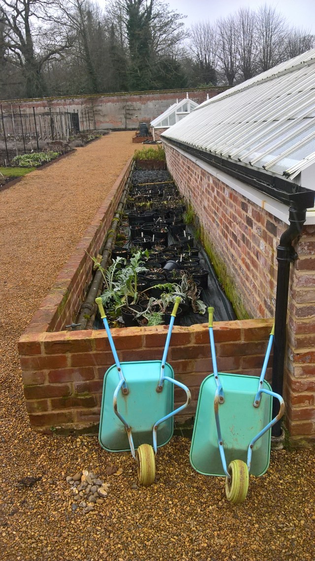 ready for fitting- the base of the new cold frames next to one of the glasshouses